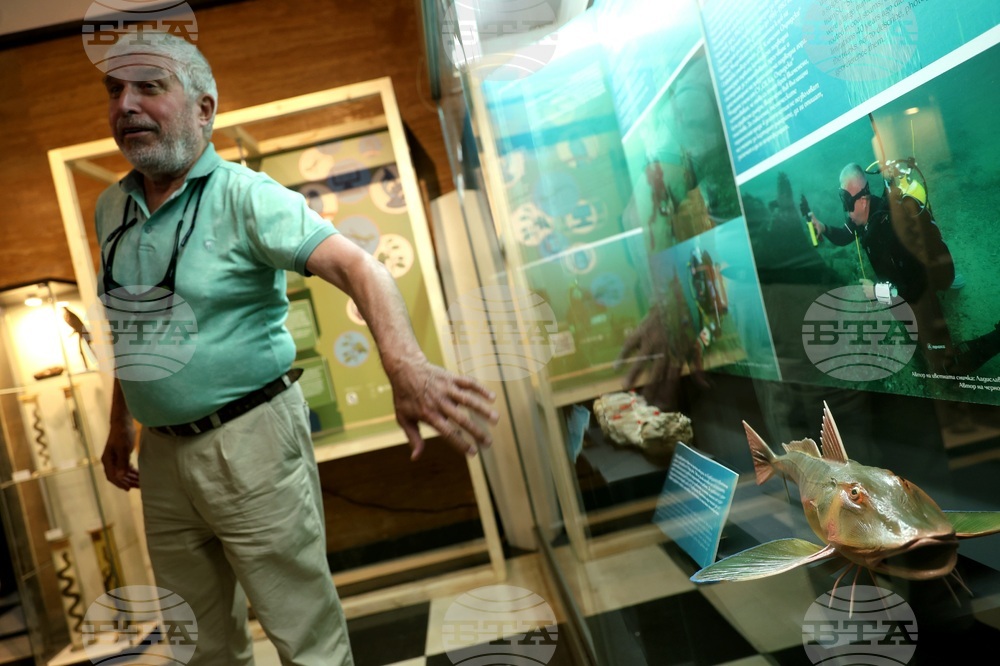 „Подводната вкаменена гора“ - изложба