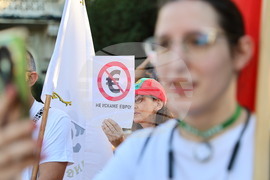Пловдив - Защита на българския лев - протест