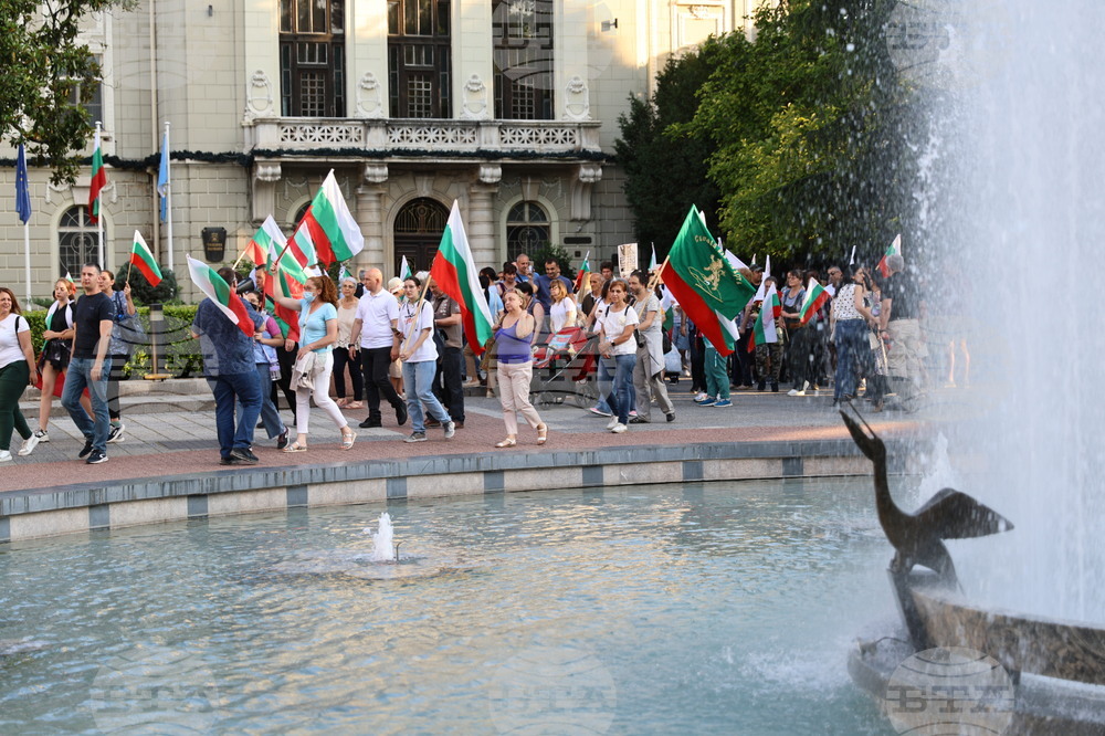 Пловдив - Защита на българския лев - протест