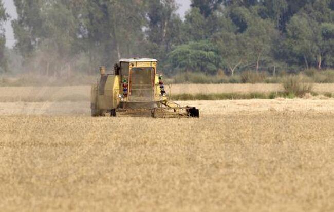 КНА: Кипърското правителство обявява инвестиционна мярка от 67,5 милиона евро по Стратегическия план за Общата селскостопанска политика