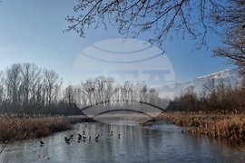 Южен парк - замръзнало езеро - птици