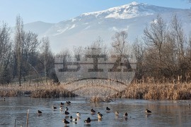 Южен парк - замръзнало езеро - птици