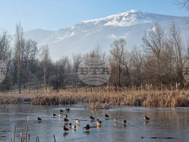 Южен парк - замръзнало езеро - птици