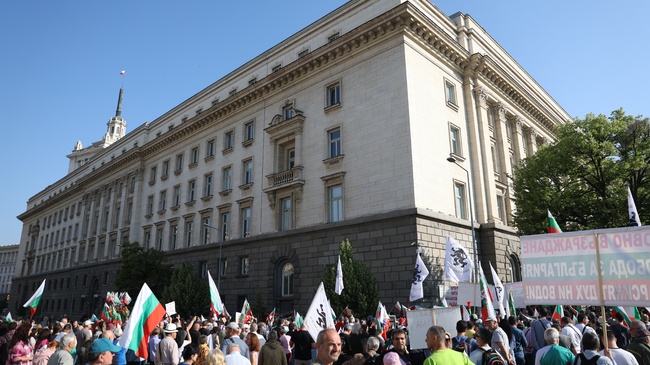 Pro-Lev Demonstrators Gather around Parliament Building Ahead of Publication of EC, ECB Reports
