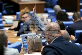 Парламент - заседание