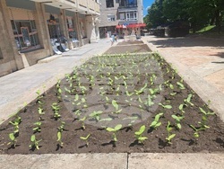 Снимка: Община Шумен