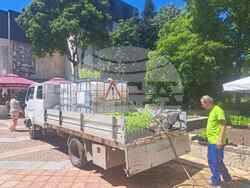 Снимка: Община Шумен