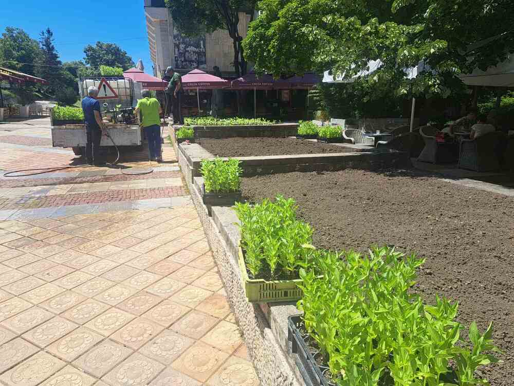 Община Шумен: Вече са поставени водните лилии в езерото на „Кьошковете“, до месец се очаква да цъфнат