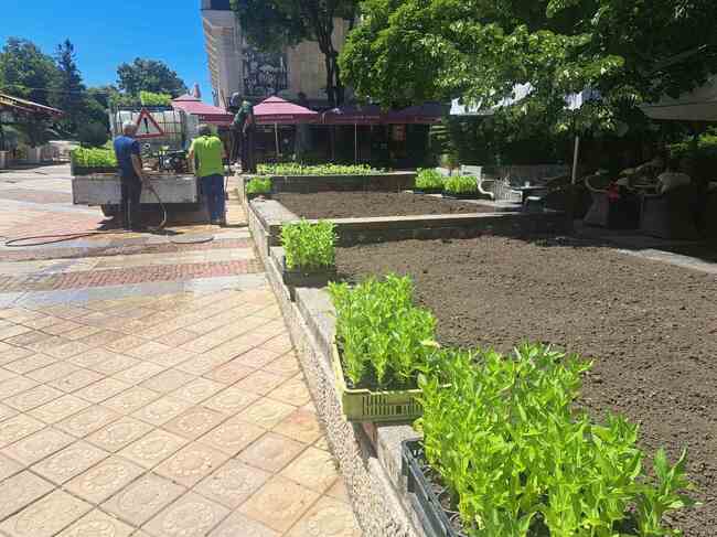 Община Шумен: Вече са поставени водните лилии в езерото на „Кьошковете“, до месец се очаква да цъфнат