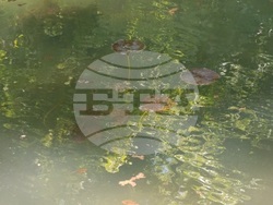 Снимка: Община Шумен