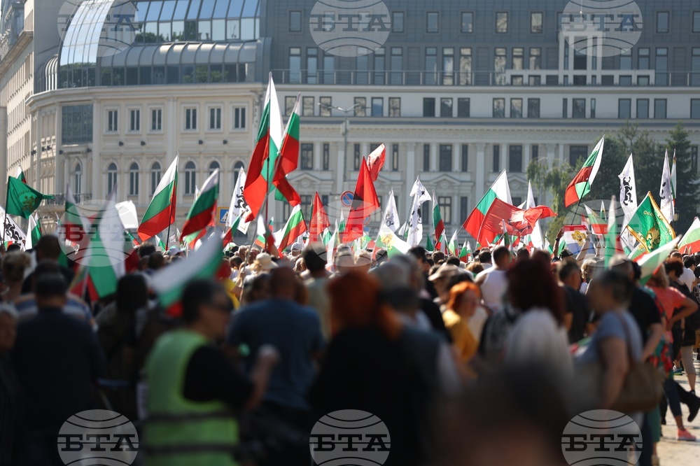 Приключи протестът за запазване на българския лев в центъра на София
