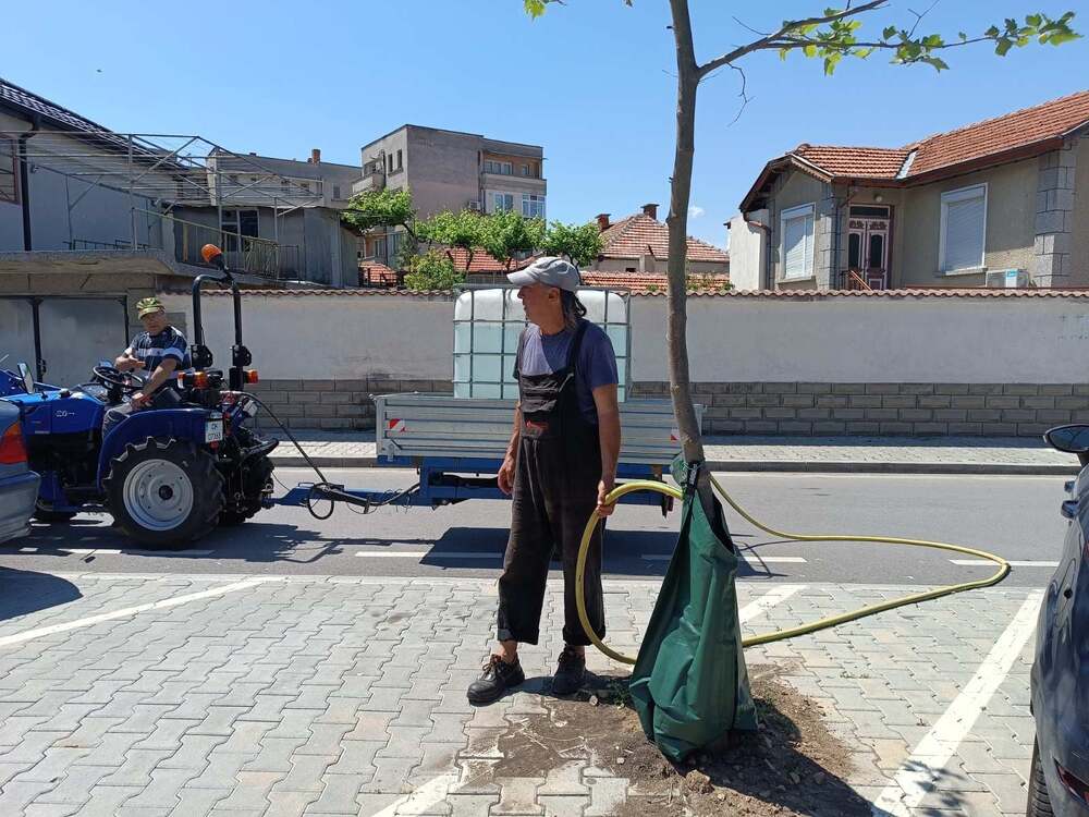 В Нова Загора ще напояват дървета с т. нар. поливни сакове