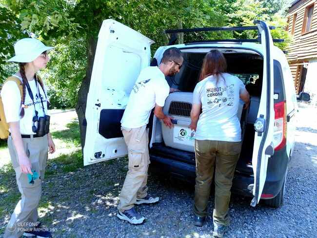 Община Стара Загора: Зоопарк Стара Загора и „Зелени Балкани“ с нова стъпка към завръщането на белоглавите лешояди в природата