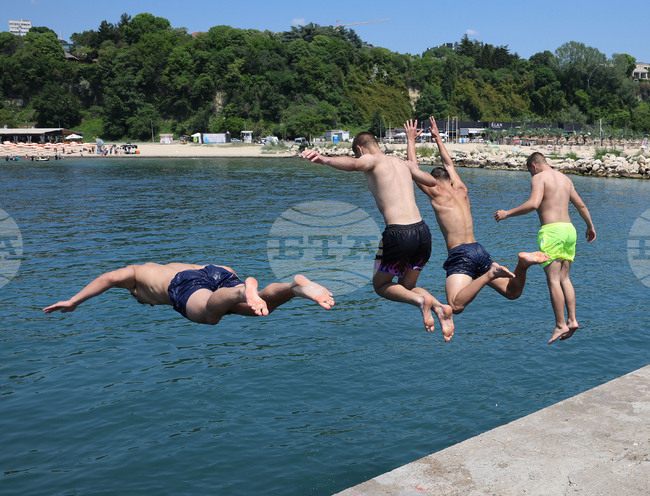 Прогноза за времето