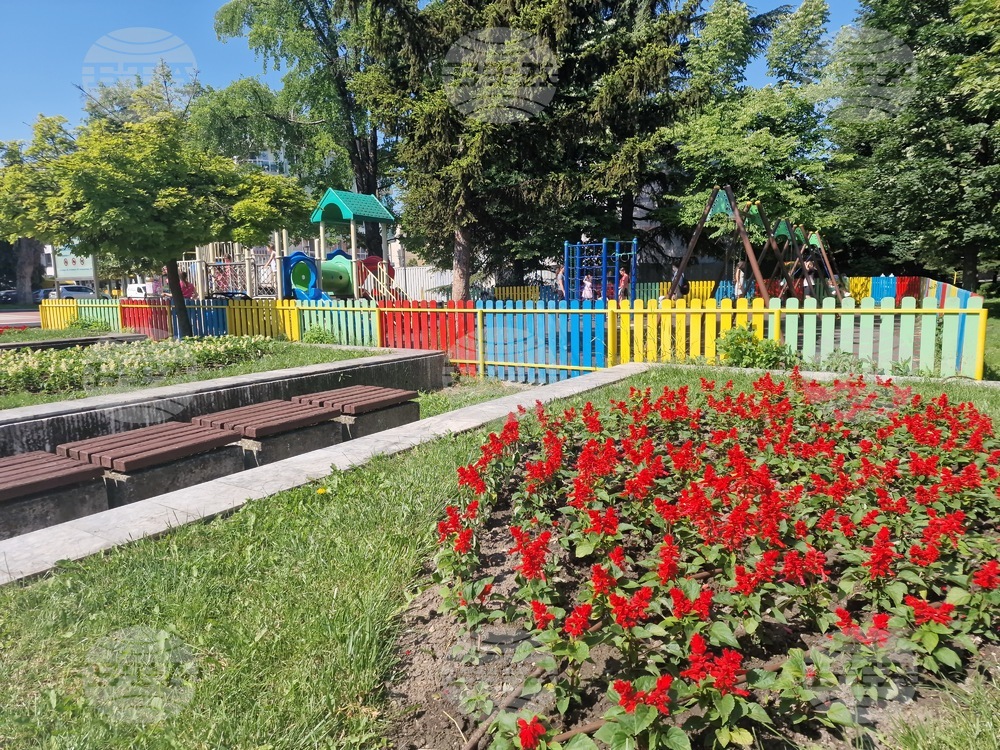 В Търговище създадоха дарителска платформа за подкрепа на местни каузи