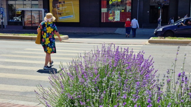 Румъния е в плен на жегата; жълт код за високи температури е в сила за осем окръга на страната