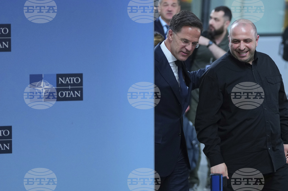 Belgium NATO Ukraine