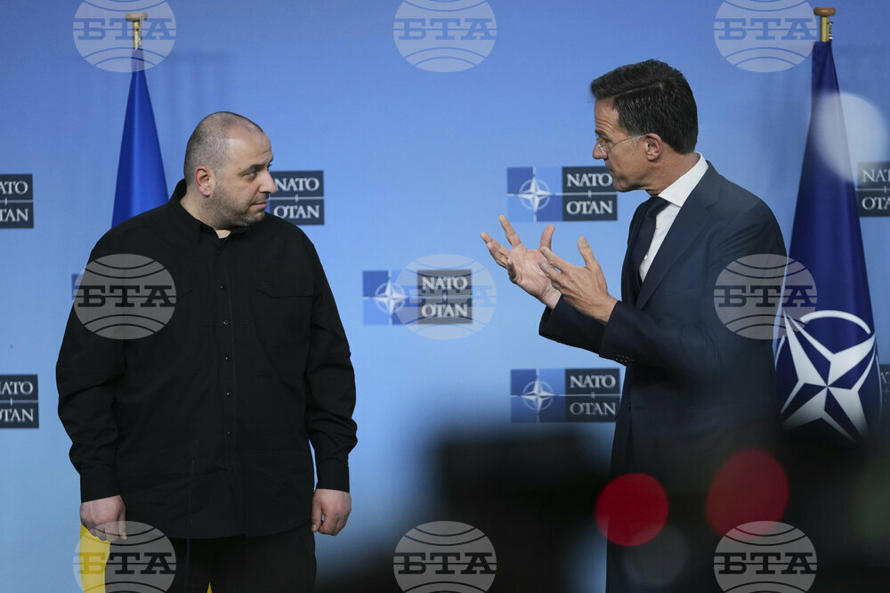 Belgium NATO Ukraine