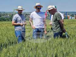 Разград - Ден на пшеницата