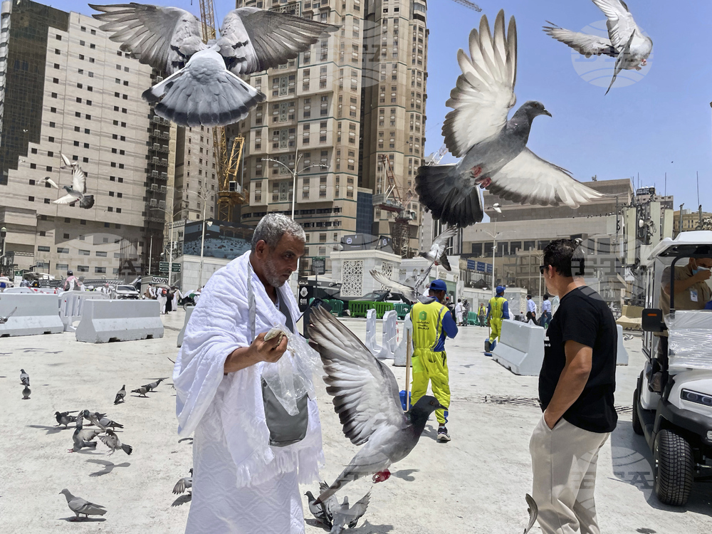 Saudi Arabia Hajj