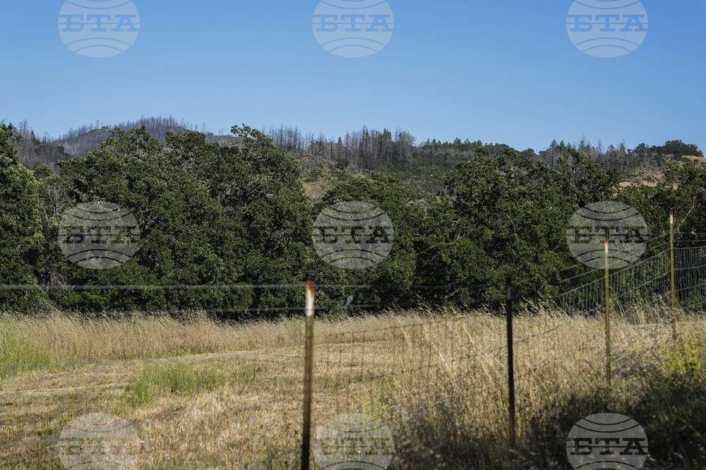 California Wildfires Clean Energy