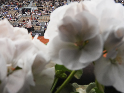 French Open Tennis