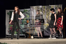 Видин - езикова гимназия - театрално студио - представление