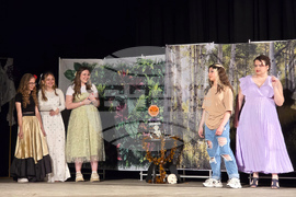 Видин - езикова гимназия - театрално студио - представление