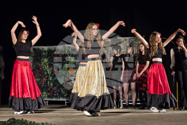 Видин - езикова гимназия - театрално студио - представление