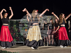 Видин - езикова гимназия - театрално студио - представление