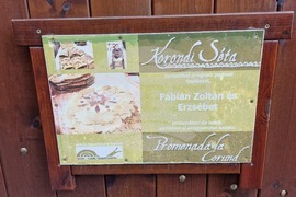 Румъния - Село Корунд - занаяти - шапки от гъби