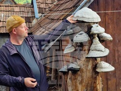 Румъния - Село Корунд - занаяти - шапки от гъби