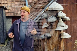 Румъния - Село Корунд - занаяти - шапки от гъби