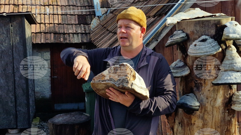 Hats Made from Mushrooms Preserve Unique Craft in Romania and Europe