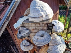 Румъния - Село Корунд - занаяти - шапки от гъби