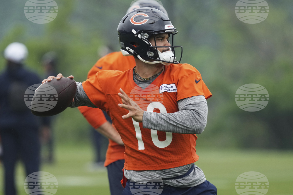 Bears Football