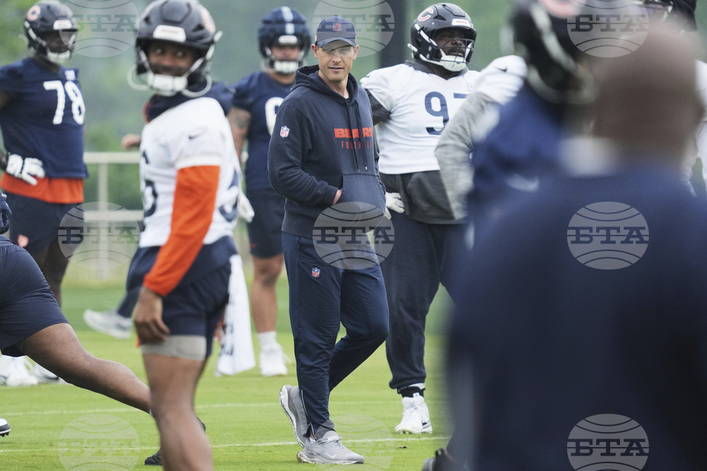 Bears Football