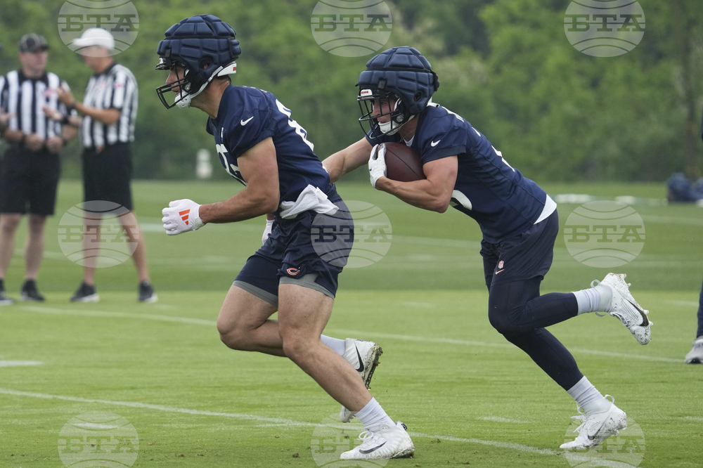 Bears Football