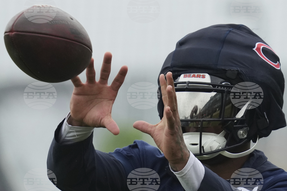 Bears Football