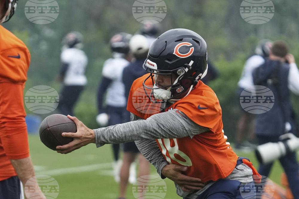 Bears Football