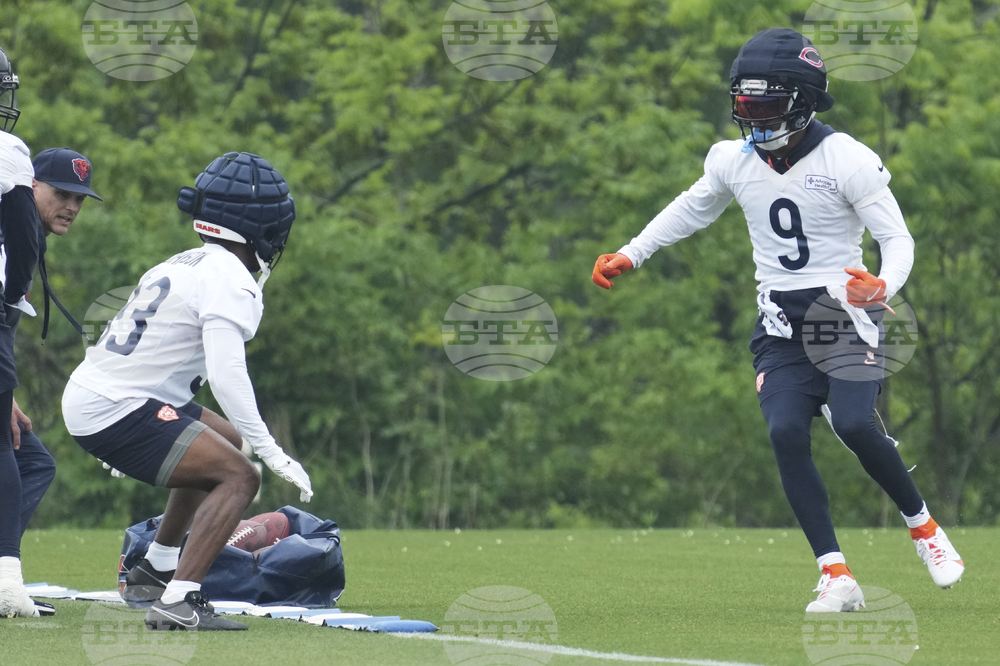 Bears Football