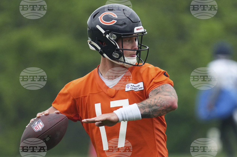 Bears Football