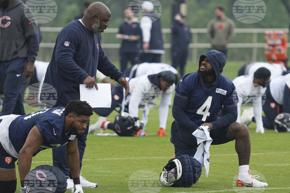 Bears Football
