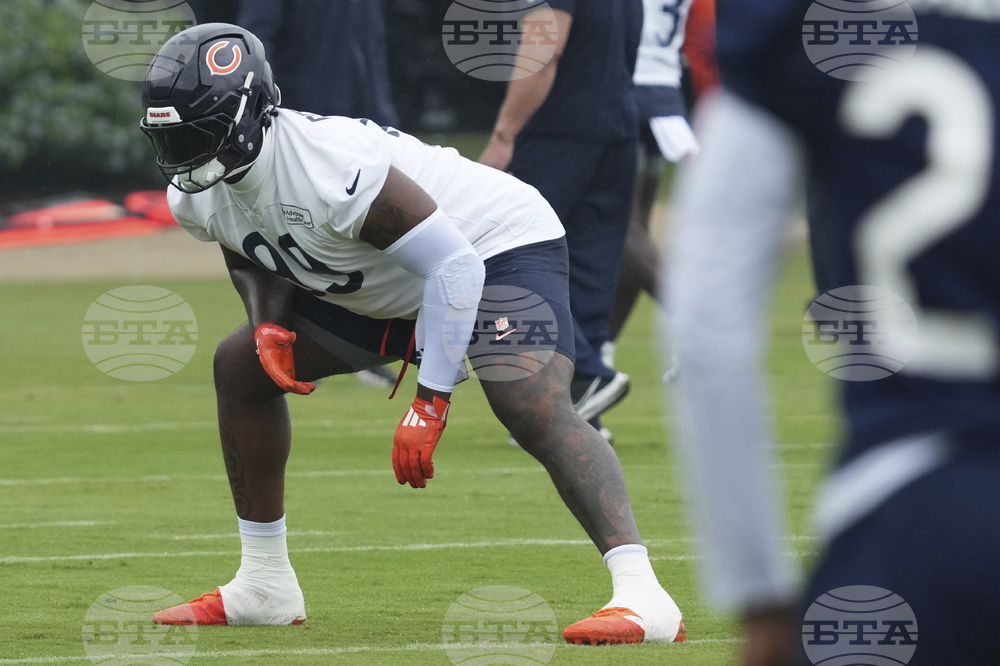 Bears Football