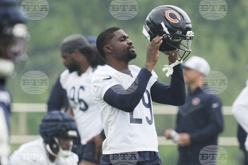 Bears Football