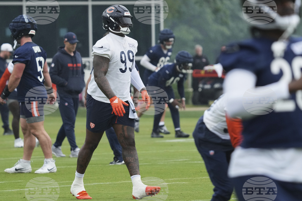 Bears Football