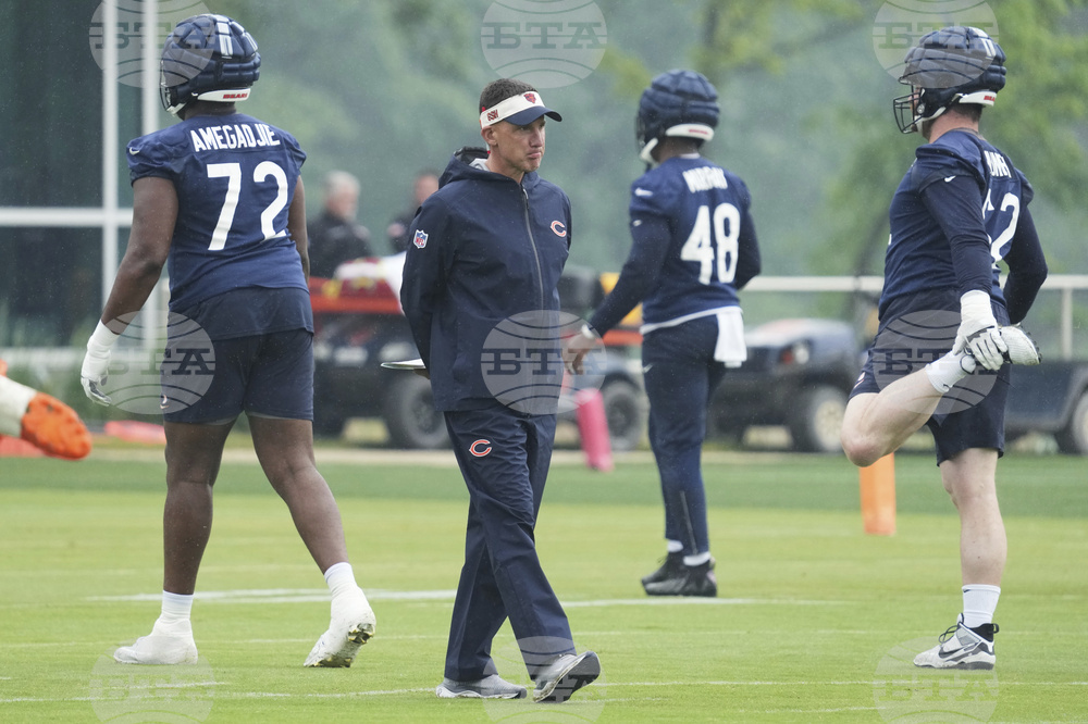 Bears Football