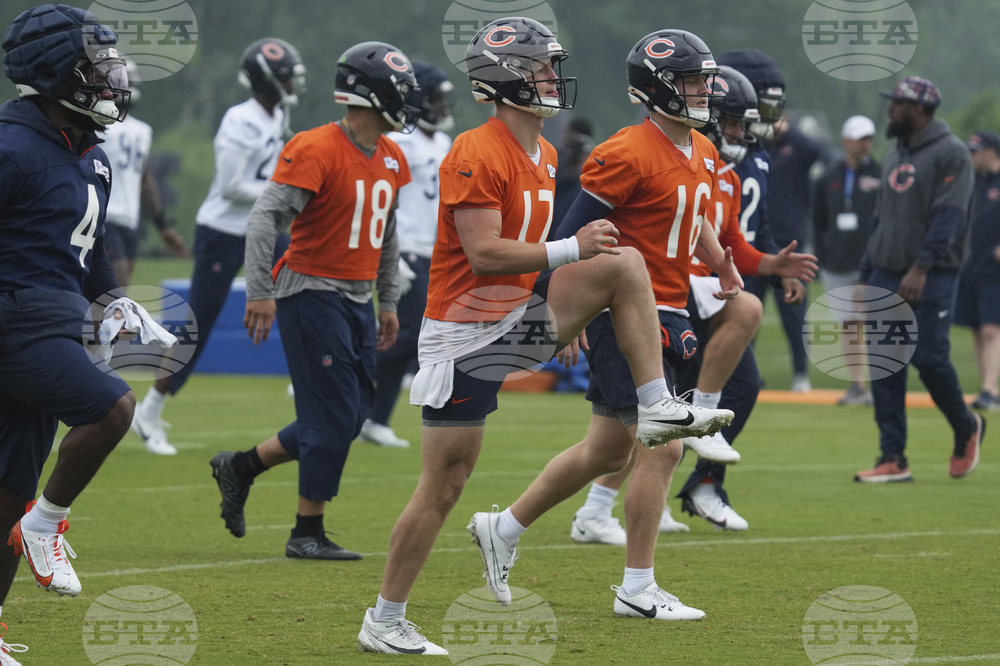 Bears Football