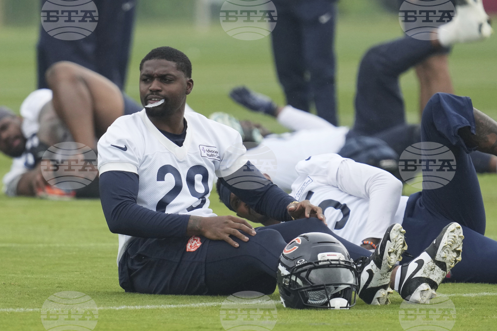 Bears Football