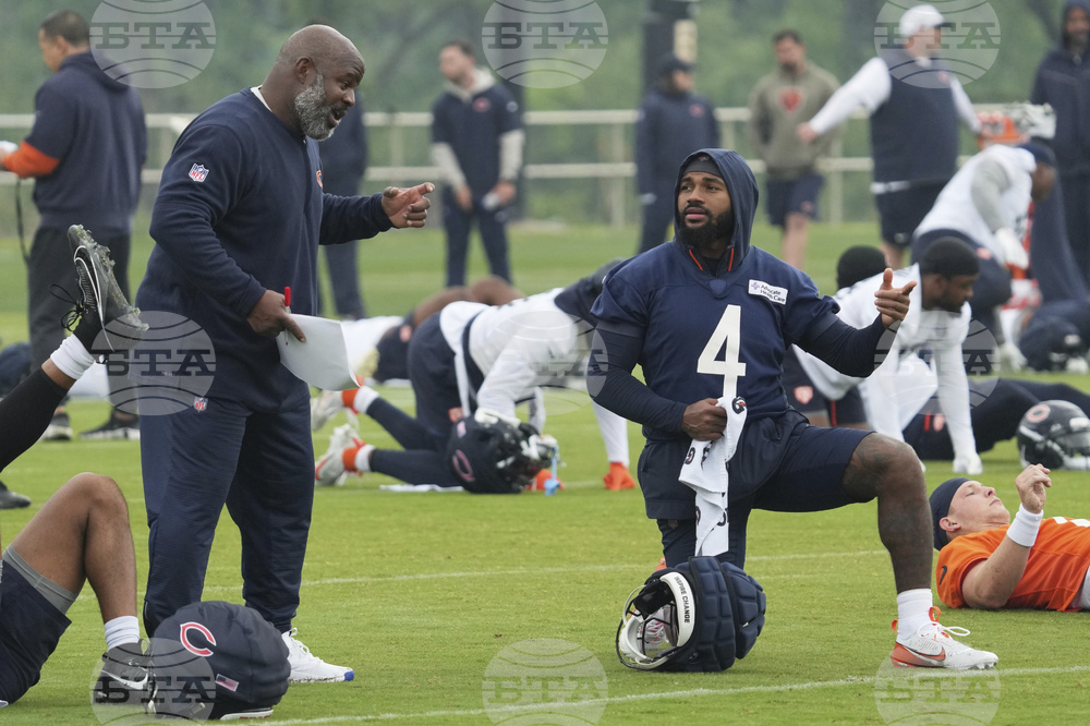 Bears Football